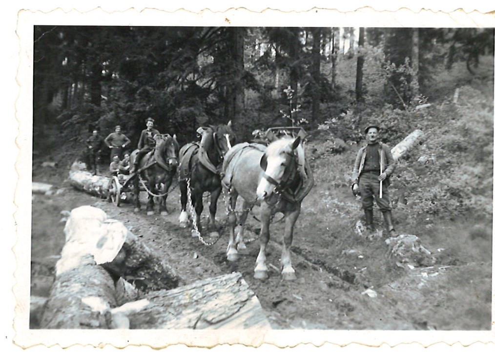 naissance entreprise